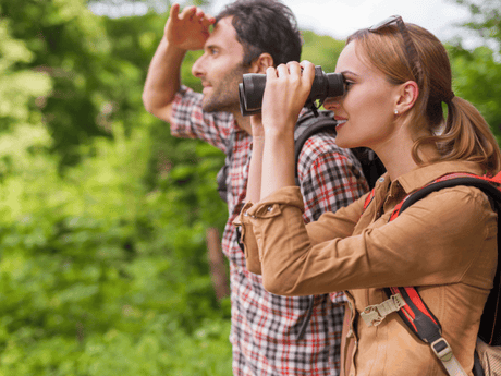 Ottiche e Visori: Gli Accessori Essenziali per il Trekking e le Avventure all'Aperto