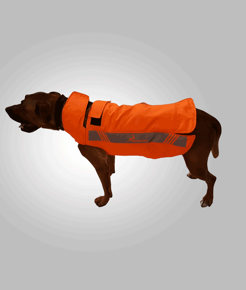 Konustex Dog Anti-Fang Vest